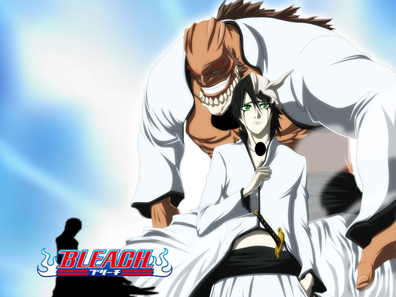 Illustration for article titled Bleach: The Filler Free Viewing Guide